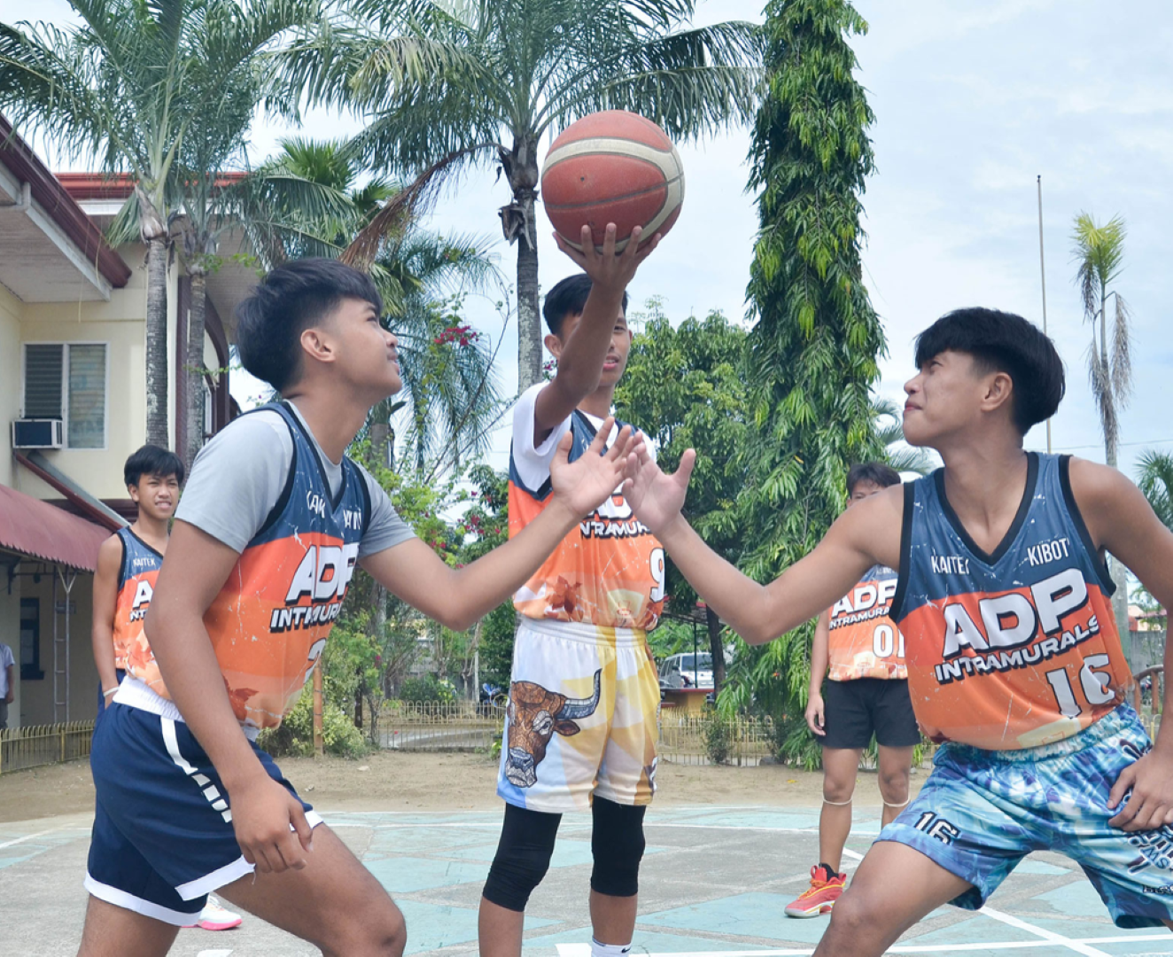 Philippine 6.21 (Large)